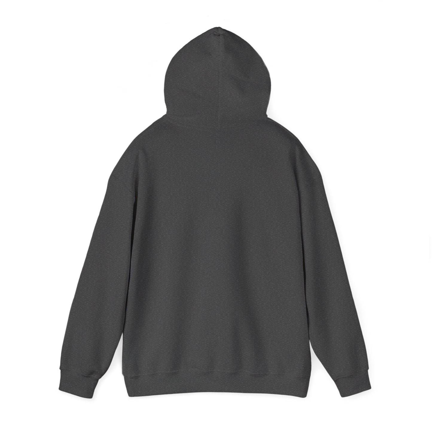 Saltless Hoodie Sweatshirt